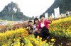 Đánh thức bình nguyên xanh Khai Trung
