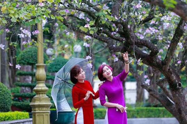 Lần đầu tiên Hà Nội tổ chức lễ hội hoa ban