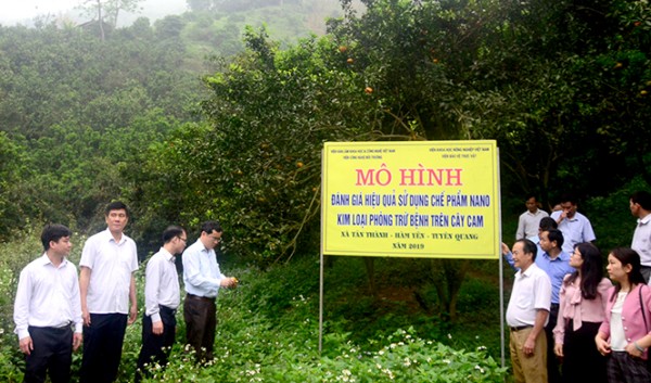 Tuyên Quang: Khai thác hiệu quả thế mạnh phát triển kinh tế nông, lâm nghiệp