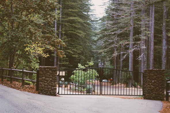 Sự thật về Bohemian Grove - khu rừng bí ẩn nhất nước Mỹ