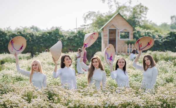 Cúc họa mi gọi gió đông về