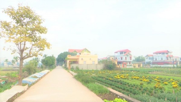 Xây dựng nông thôn mới ở Thường Tín: Từ sự đồng thuận của người dân