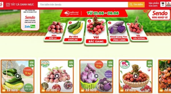TPHCM: Kết nối đưa sản phẩm nông nghiệp lên sàn thương mại điện tử