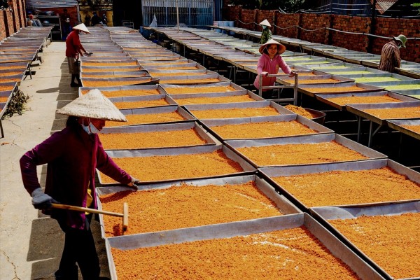 Một cơ sở chế biến muối tôm ở Tây Ninh. Ảnh: Dương Vĩnh Tuyên