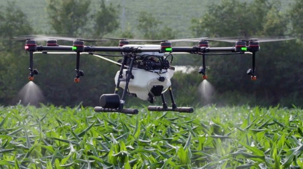 Phun thuốc trừ sâu bằng drone đã không còn xa lạ tại những nông trại lớn, áp dụng khoa học, công nghệ cao tại Việt Nam