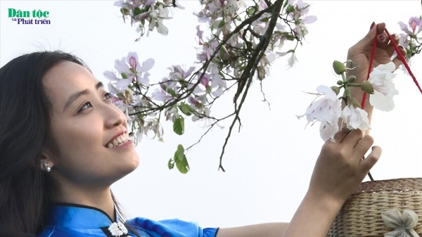Lễ hội Hoa Ban được tổ chức từ tháng 3 - 5/2023, tại Tp. Điện Biên Phủ