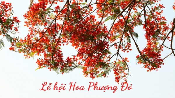 Lễ hội Hoa Phượng Đỏ 2023 “Hải Phòng – Tỏa sáng miền cửa biển”