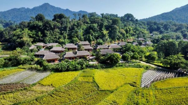 ĐỔI THAY TRÊN QUÊ HƯƠNG CÁCH MẠNG TÂN TRÀO