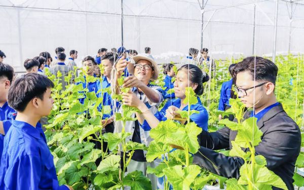 THANH NIÊN TRONG KHU VỰC KINH TẾ TƯ NHÂN:  VIỆC LÀM, ĐÓNG...