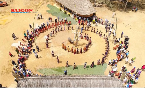 nguoicotuquangnam2 zmbz