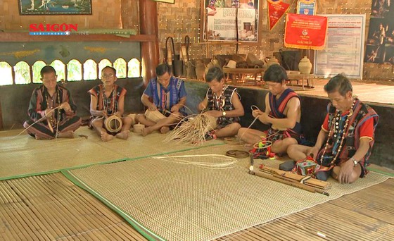 nguoicotuquangnamhatly zyaj