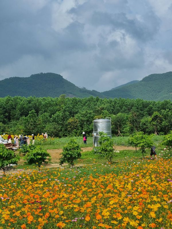 649884264 122123647755085431 3131642882851808634 n